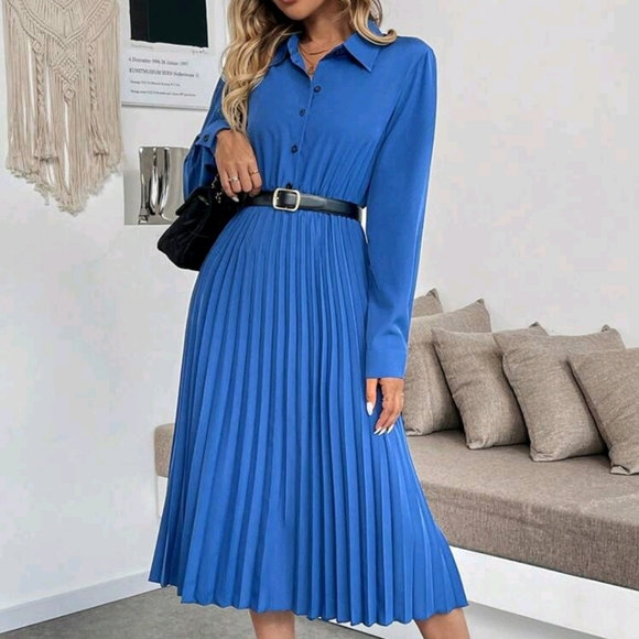 Women's Solid Color Front Button Long Sleeve Pleated Simple Casual Dress - Picture 1 of 6